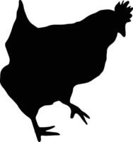 pollo vettore o silhouette