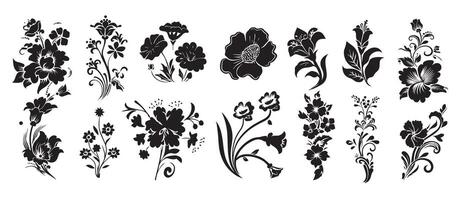 vettore grande impostato di vario pianta le foglie e fiori, schizzi di sagome, disegni. scarabocchio schizzo per vettore tatuaggio