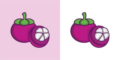 mangostano frutta vettore illustrazione modello design