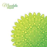 sfondo verde mandala decorativo vettore