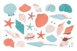 impostato di mare conchiglie, mollusco, stella marina, mare lumache vettore