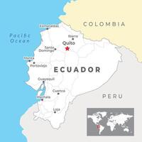 ecuador carta geografica con capitale quito, maggior parte importante città e nazionale frontiere vettore