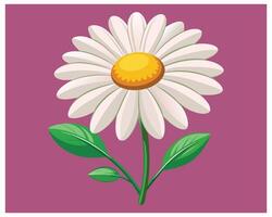 cartone animato margherita fiore vettore design su bianca sfondo illustrazione