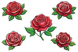 rosa fiore impostato vettore design illustrazione