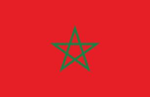 piatto illustrazione di Marocco nazionale bandiera. Marocco bandiera design. vettore