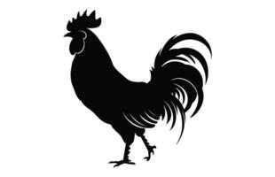 Gallo nero silhouette vettore, cazzo Gallo clipart isolato su un' bianca sfondo vettore