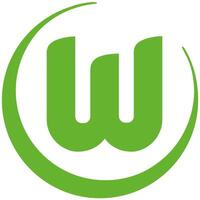 logo di il wolfsburg bundesliga calcio squadra vettore