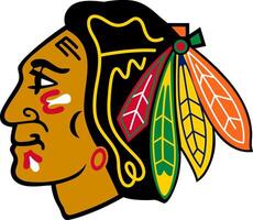 logo di il Chicago blackhawks nazionale hockey lega squadra vettore