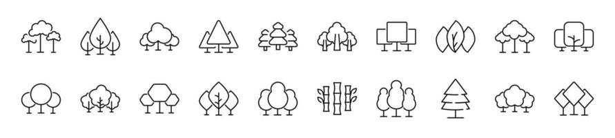 collezione di magro linea icone di albero. modificabile ictus. semplice lineare illustrazione per ragnatela siti, giornali, articoli libro vettore