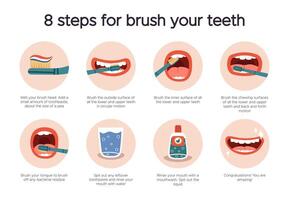 dentale igiene infografica. orale assistenza sanitaria guida, dente spazzolatura per dentale cura. Come per spazzola il tuo denti istruzione isolato vettore illustrazione