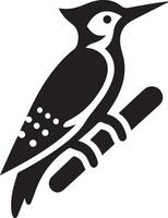 picchi uccello logo concetto, nero colore silhouette, bianca sfondo 22 vettore