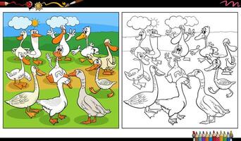 cartone animato oche uccelli azienda agricola animale personaggi gruppo colorazione pagina vettore