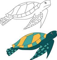 mare tartaruga clipart impostare. schema e colorato tartarughe vettore