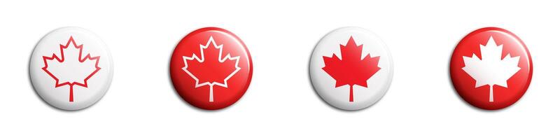 acero foglia icona. autunno foglia canadese icona. vettore illustrazione.