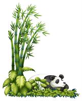 Un panda addormentato vettore