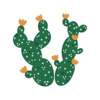 cactus vettore illustrazione. fioritura spinoso Pera con verde stelo, arancia fiori, spine. pianta della casa o deserto succulento. pianta di America, Messico, India. mano disegnato opuntia scarabocchio. cartone animato clipart