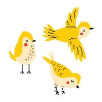 vettore carino uccello. giallo uccello nel diverso pose. impostato con un' uccello. mano disegnato stile. bianca isolato sfondo.