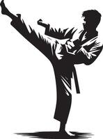 maschio taekwondo giocatore calcio silhouette. vettore