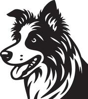 confine collie cane illustrazione. vettore