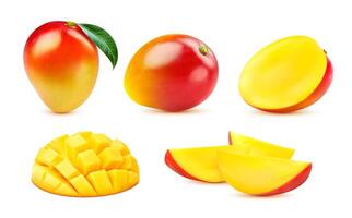 tropicale realistico Mango frutta fette con le foglie vettore