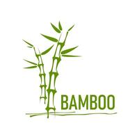 asiatico bambù icona, terme massaggio e Salute simbolo vettore