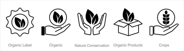 un' impostato di 5 biologico agricoltura icone come biologico etichetta, organico, natura conservazione vettore