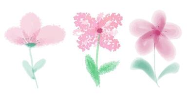 impostato di rosa fiori con verde le foglie acquerello. isolato su bianca sfondo. vettore illustrazione