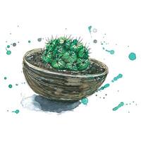 acquerello illustrazione con un' cactus piantato nel un' Noce di cocco guscio. Presto schizzo, casa arredamento. per disegno, decorazione, manifesto. cartoline, stampe, illustrazioni vettore