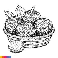 frutta cestino linea arte illustrazione per il colorazione libro. frutta colorazione pagina. vettore grafica