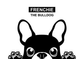 un' poco Frenchie cucciolo è guardare su di il finestra nel nero e bianca stile vettore
