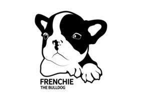 carino due toni francese bulldog cucciolo nel nero e bianca vettore