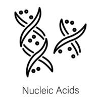 di moda nucleico acidi vettore