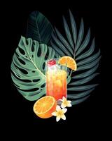 Tequila Alba cocktail e palma le foglie vettore illustrazione