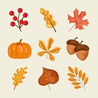 disegno di foglie d'autunno vettore