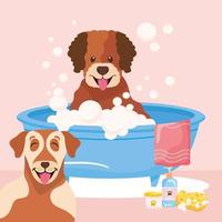 cani che fanno il bagno vettore