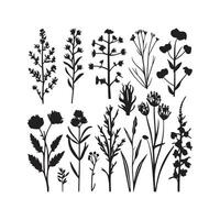 selvaggio prato erbe aromatiche fioritura fiori vettore sagome collezioni vettore arte illustrazione