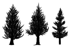 vettore di alberi di pino