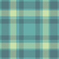 plaid dai un'occhiata modello. senza soluzione di continuità tessuto struttura. tartan tessile Stampa. vettore