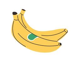 tropicale frutta Banana maturo Prodotto salutare dieta vettore