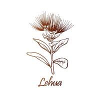 ohia Lehua, stato fiore di Hawaii. mano disegnato botanico vettore illustrazione
