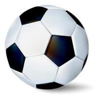pallone da calcio isolato su sfondo bianco. vettore
