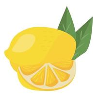 limone agrumi vettore