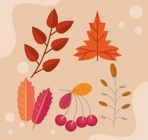 autunno cinque foglie vettore