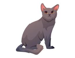 grigio seduta domestico gatto, vettore isolato cartone animato illustrazione.