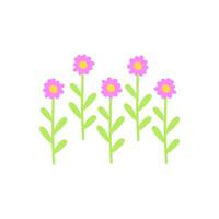 gruppo di astratto rosa fiori su frondoso steli. fiore riga o giardino letto. piatto vettore illustrazione isolato su bianca sfondo.