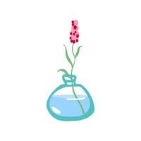 fresco fiore nel bicchiere vaso. fragile delicato steli nel acqua. tagliare floreale pianta. dolce primavera fiorisce, fiorito estate Fiore di campo mazzo isolato vettore illustrazione