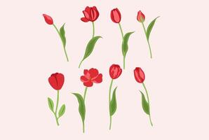 tulipano primavera fiore vettore