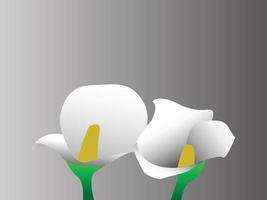 vettore di fiori, illustrazione di fiori, fiore bianco