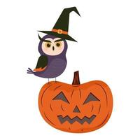un gufo con un cappello da strega siede su una zucca jack-o'-lantern. illustrazione di halloween vettore