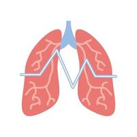 medicina dei polmoni umani vettore